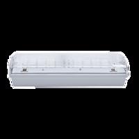 NBB CARLA 11W/840 LED CBS 230-240V AC/DC IP65 910106510