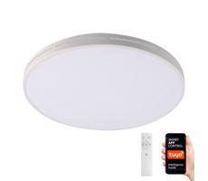 Neo NEO 07146-W42 - LED Stmívatelné svítidlo NEO LITE 24W/230V Tuya Wi-Fi + DO