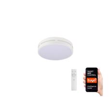 Neo NEO 07153-W30 - LED Stmívatelné svítidlo PERFECTO 24W/230V Wi-Fi Tuya + DO