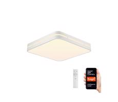 Neo NEO 07155-W42 - LED Stmívatelné svítidlo PERFECTO 48W/230V Wi-Fi Tuya + DO