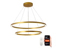Neo NEO 07159-G80-60 - LED Stmívatelný lustr FINO LED/93W/230V Tuya zlatá + DO