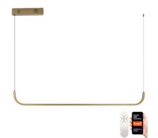 Neo  NEO 07227L - LED Stmívatelný lustr na lanku PATTINI LED/26W/230V Tuya+DO