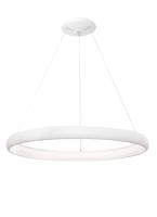 Nova Luce LED závěsné svítidlo Albi ve dvou velikostech a třech barvách - pr. 810 x 60 x 1140 mm, 80 W, 3000 K, stmívatelné, bílá NV 8105603 D