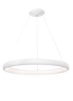 Nova Luce LED závěsné svítidlo Albi ve dvou velikostech a třech barvách - pr. 810 x 60 x 1140 mm, 80 W, 3000 K, stmívatelné, bílá NV 8105603 D