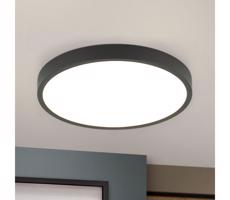 Orion Orion DL 7-657/24 - LED Stropní svítidlo BULLY LED/24W/230V pr. 24 cm černá