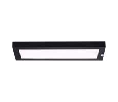 Paulmann Paulmann 94256_1 - LED/10W IP44 Venkovní stropní svítidlo se senzorem 230V