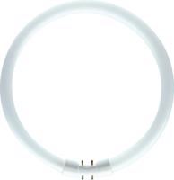 Philips kruhová MASTER TL5 Circular 22W/830 2GX13 Teplá bílá