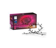 Philips Philips-LED RGBW Stmívatelný venkovní řetěz HUE WACA 250xLED 24,4 m IP54