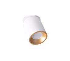 Podhledové bodové svítidlo HARON 1xGU10/10W/230V bílá/zlatá