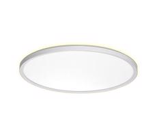Prezent Prezent  - LED Koupelnové stropní svítidlo CORDIA LED/24W/230V IP54 bílá