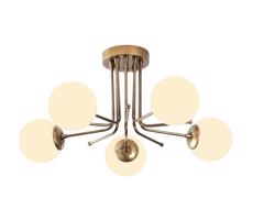 Přisazený lustr DAISY 5xE27/40W/230V