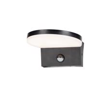 Rabalux Rabalux 77119 -LED Venkovní nás. svít. se senzorem BATIDA LED/9W/230V IP54 černá