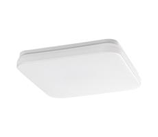 Rabalux Rabalux 77181 - LED Koup. strop. svítidlo LOWAR 18W/230V 3000/4000/6000K IP44