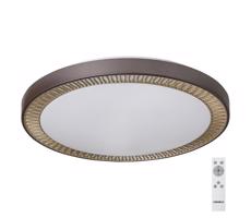 Rabalux Rabalux - LED Stmívatelné stropní svítidlo LED/40W/230V + DO 3000-6000K