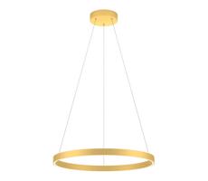 Redo Redo 01-2865 - LED Stmívatelný lustr na lanku FEBE LED/37W/230V zlatá