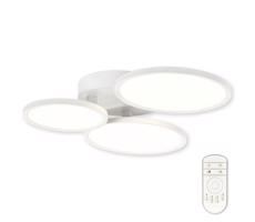 Top Light Merkur B RC