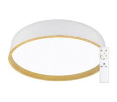 Top Light Top Light - LED Stmívatelné stropní svítidlo DEKOR LED/51W/230V + DO bílá/béžová