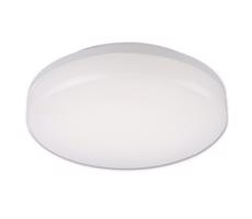 TOP LIGHT Top Light Leon K - LED Venkovní stropní svítidlo LED/15W/230V IP44