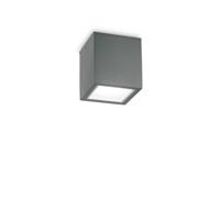 Venkovní stropní přisazené svítidlo Ideal Lux TECHO PL1 SMALL ANTRACITE 251554 GU10 1x20W IP54 9cm antracitové Studená bílá