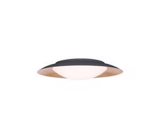 Zam Zam 1962 - LED Stropní svítidlo LED/28W/230V pr. 50 cm zlatá