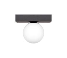 Zuma Line Zuma Line 1206 - Stropní svítidlo SPHERE 1xG9/8W/230V černá