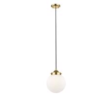 Zuma Line Zuma Line P0454-01D-F7AA - Lustr na lanku RIANO 1xE27/40W/230V
